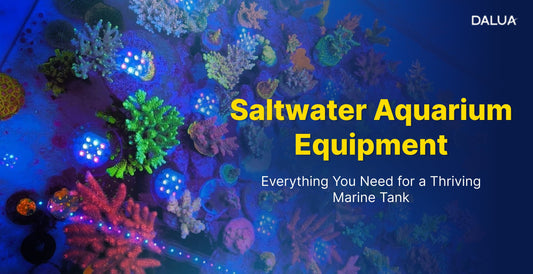 Saltwater Aquarium Equipment: Everything You Need for a Thriving Marine Tank