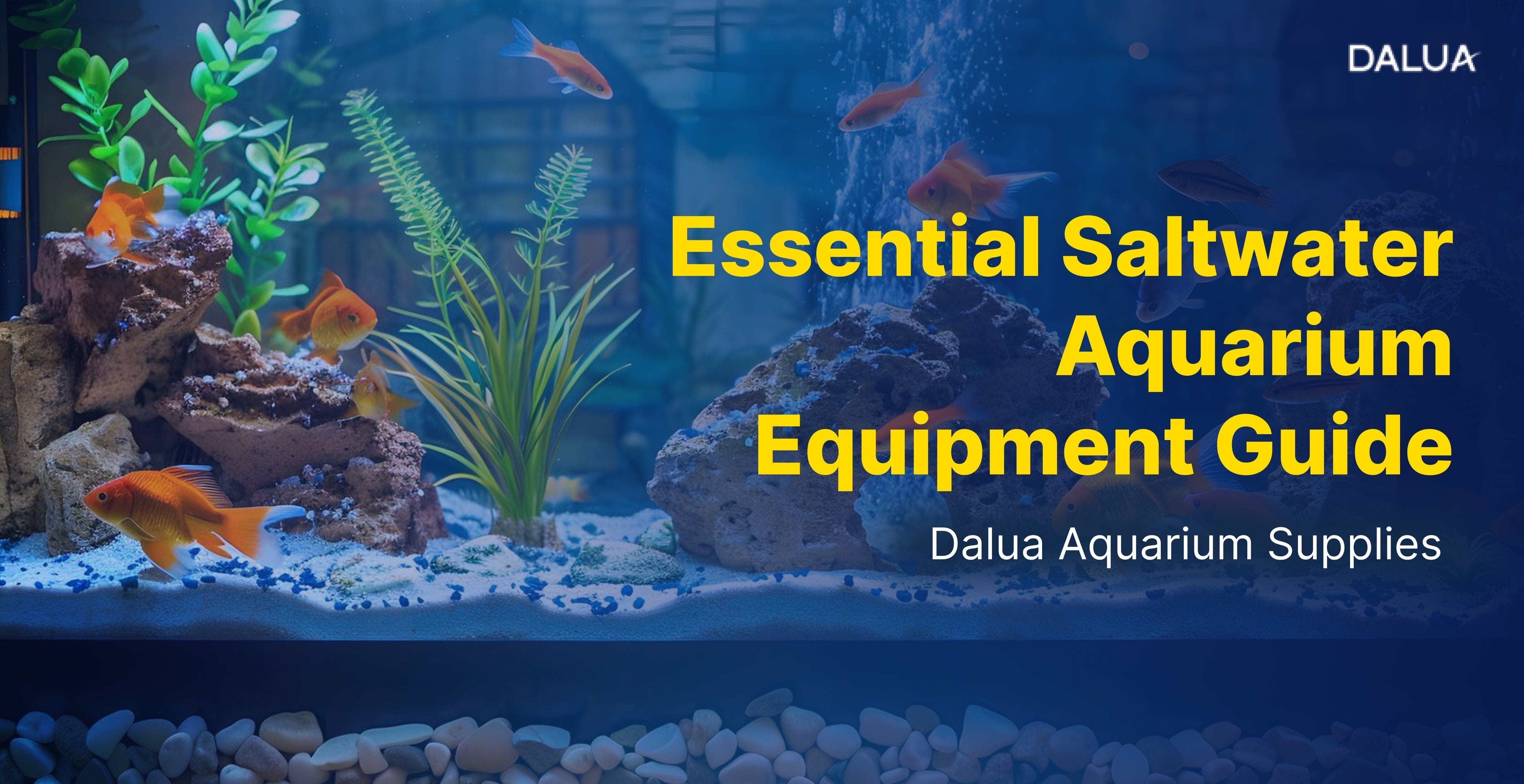 Essential Equipment For A Saltwater Reef Tank photo