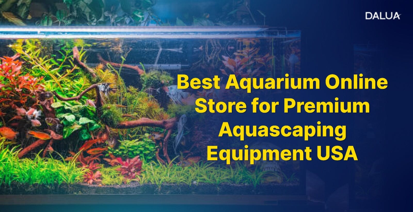 Best Aquarium Online Store USA | Premium Aquascaping Equipment – Dalua ...