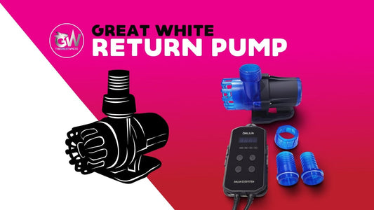Great White Return Pump Unboxing