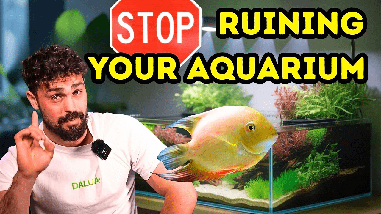 Illustration of Common Aquarium Cycle Mistakes