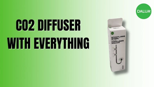 Stainless Steel CO2 Aquarium Diffuser with Quick Release U-Tube | DALUA FRESH