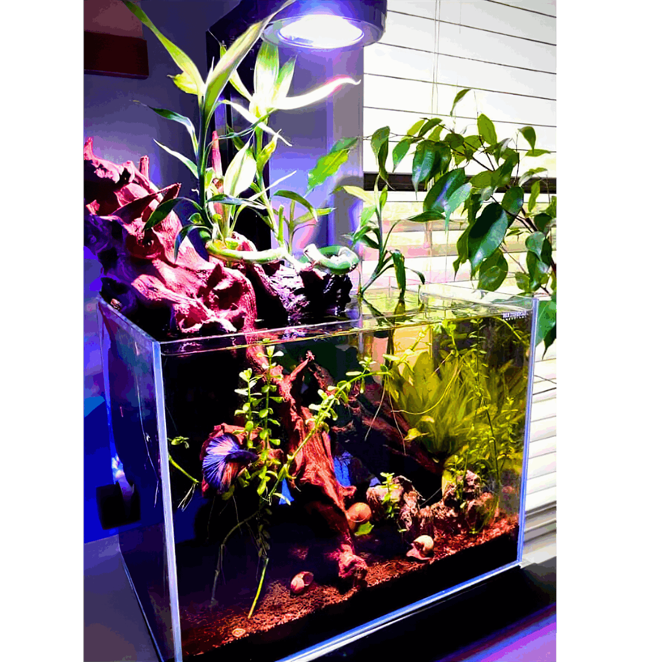 Nano Pixel LED Bundle lighting bundle pack DALUA