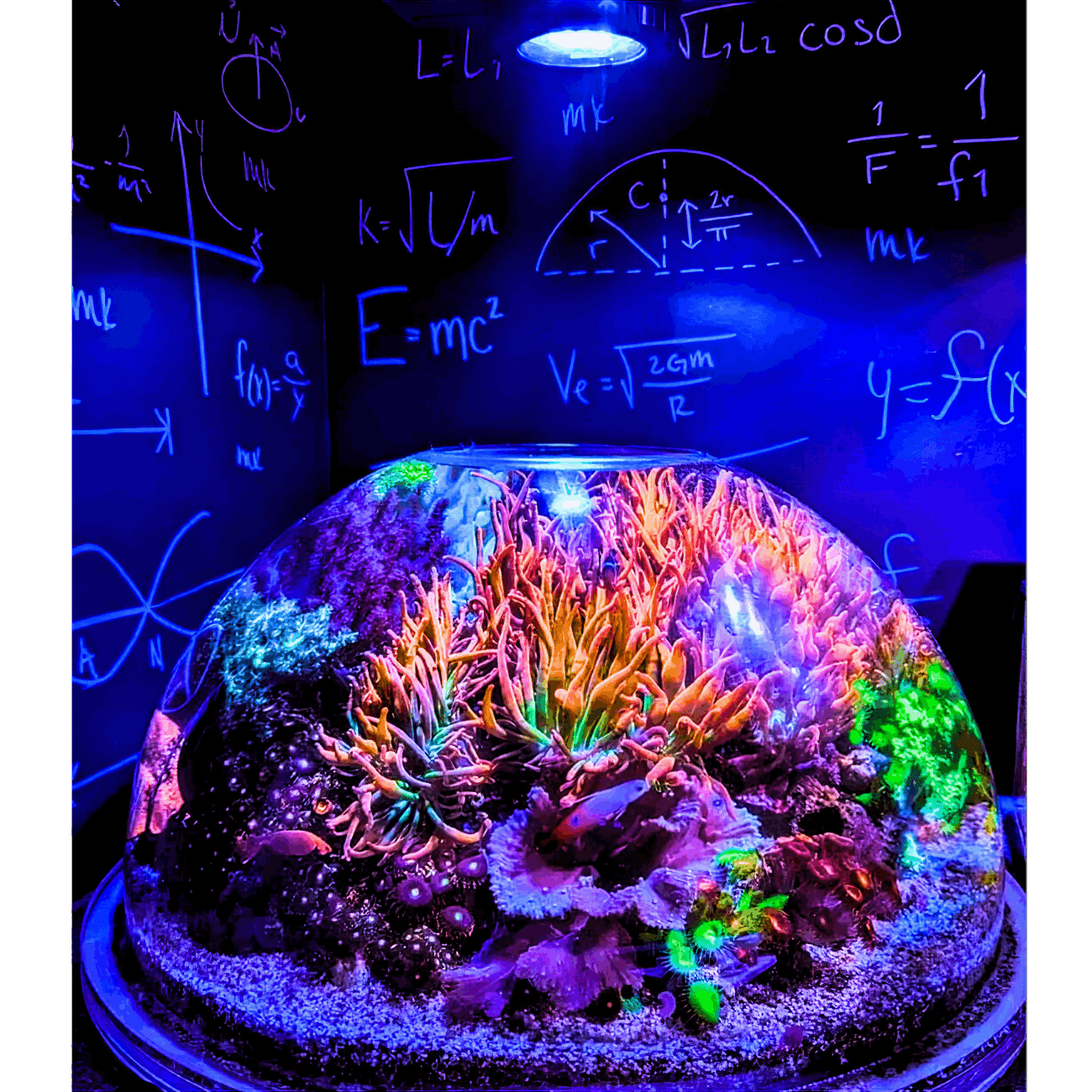 Nano Pixel LED Bundle lighting bundle pack DALUA