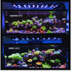Beast Mode SPS Lighting Bundle All Sizes lighting bundle pack DALUA