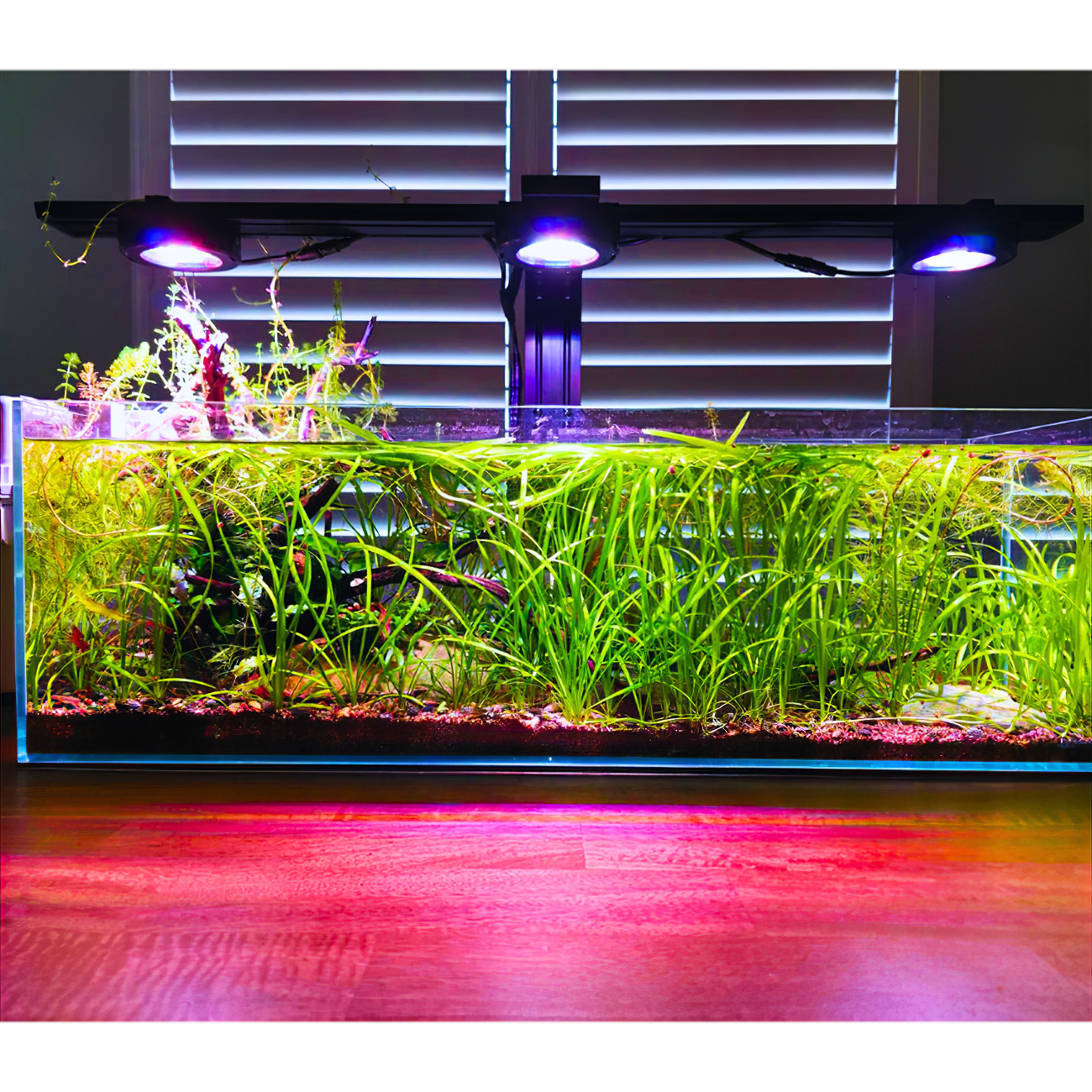 Pixel LED Bundle lighting bundle pack DALUA