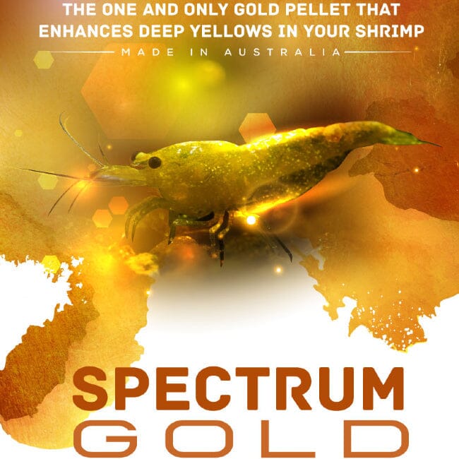 Shrimp Food Spectrum Gold DaluaAustralia