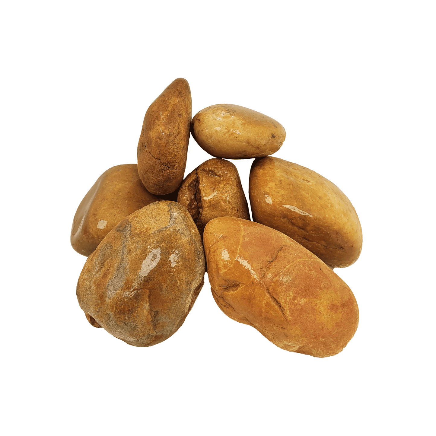 WIO - Bumblebee Boulder Wood and Rock WIO