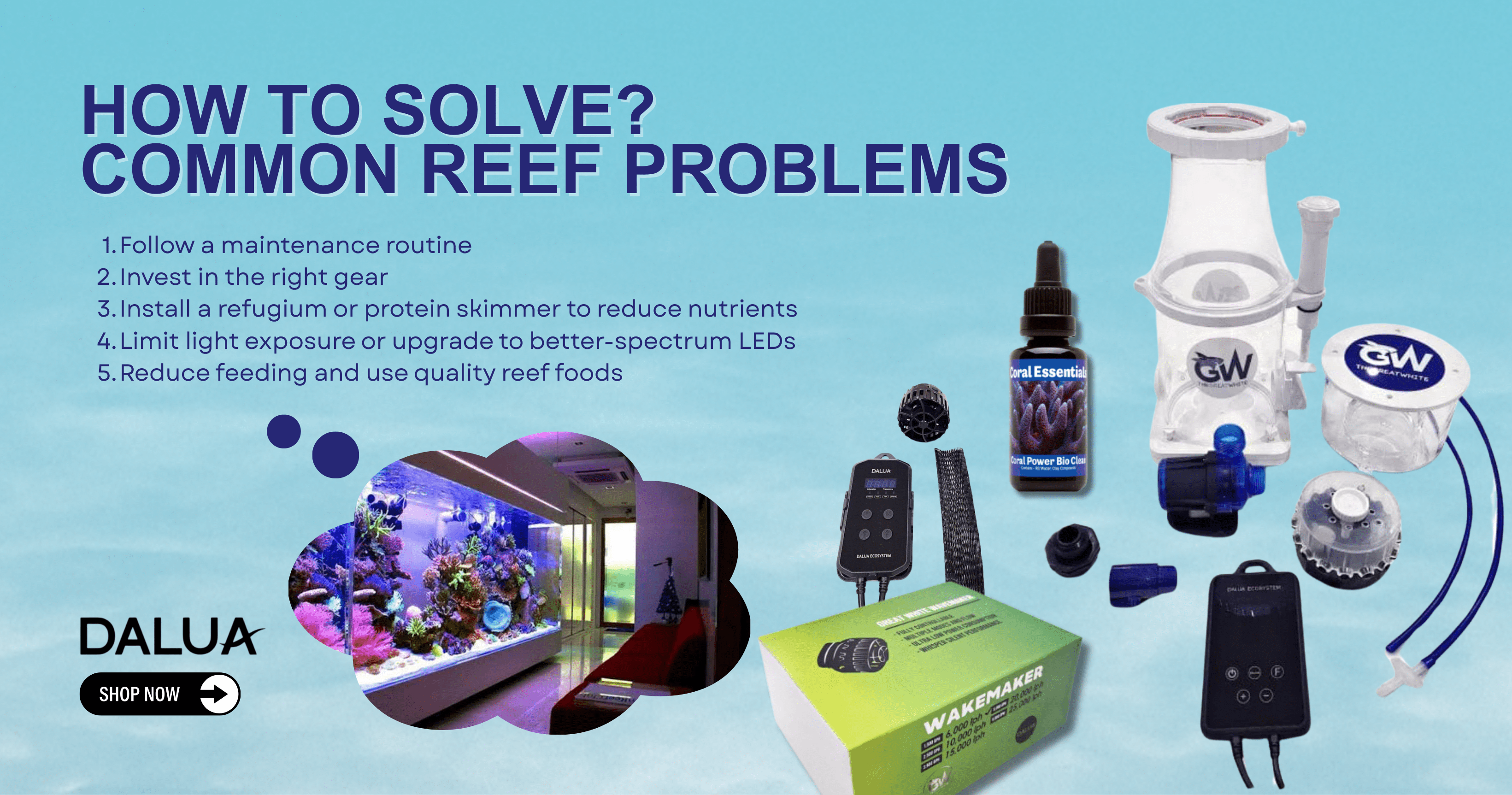 Fix Poor Water Flow in Reef Tanks: Common Mistakes and Solutions ...