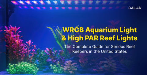 WRGB Aquarium Light & High PAR Reef Lights: The Complete Guide for Serious Reef Keepers in the United States