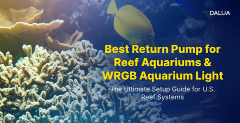 Best Return Pump for Reef Aquariums & WRGB Aquarium Light: The Ultimate Setup Guide for U.S. Reef Systems