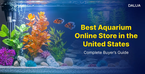 Best Aquarium Online Store in the United States – Complete Buyer’s Guide