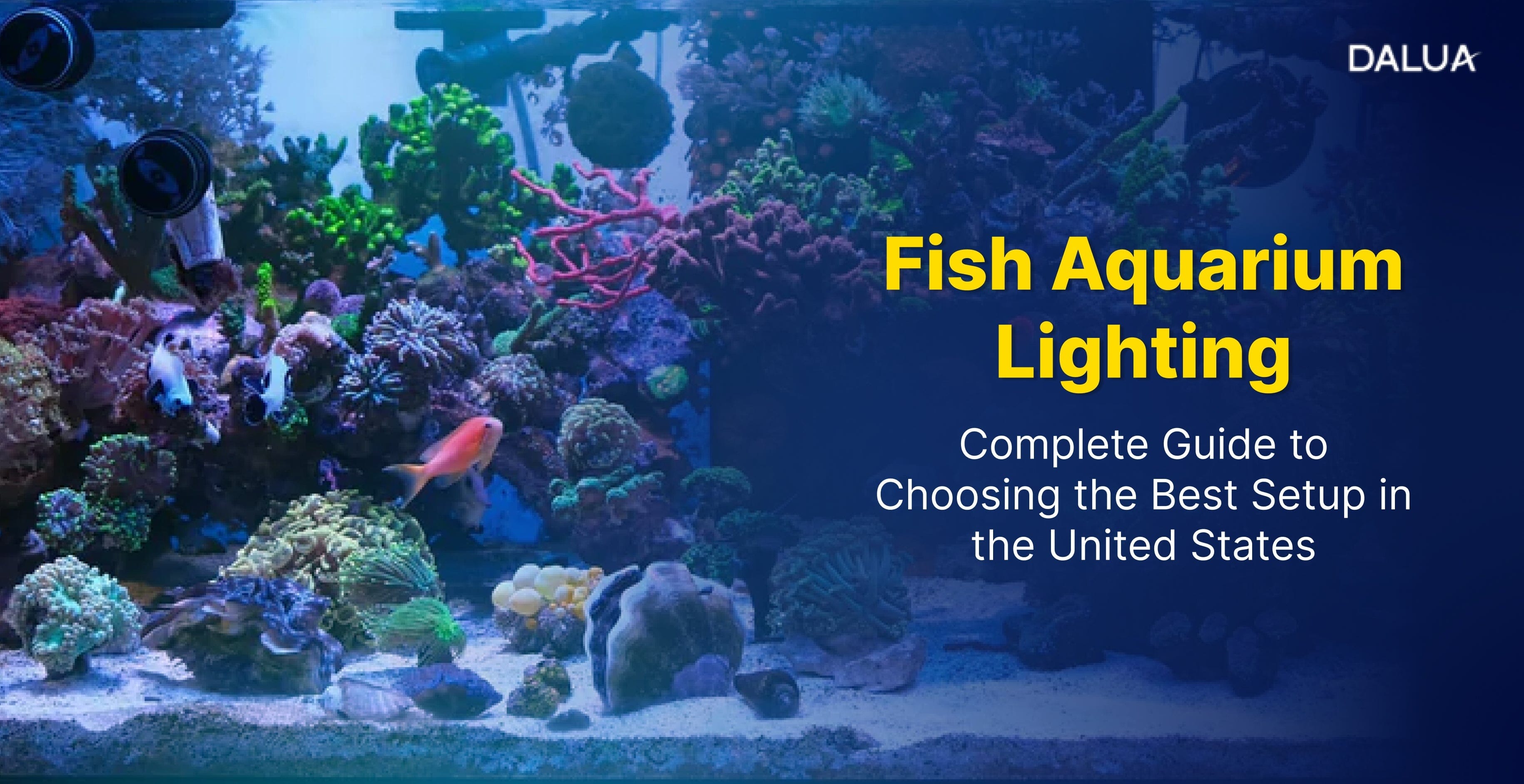 Fish Aquarium Lighting Guide USA – Dalua International LLC