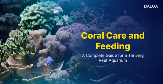 Coral Care and Feeding: A Complete Guide for a Thriving Reef Aquarium