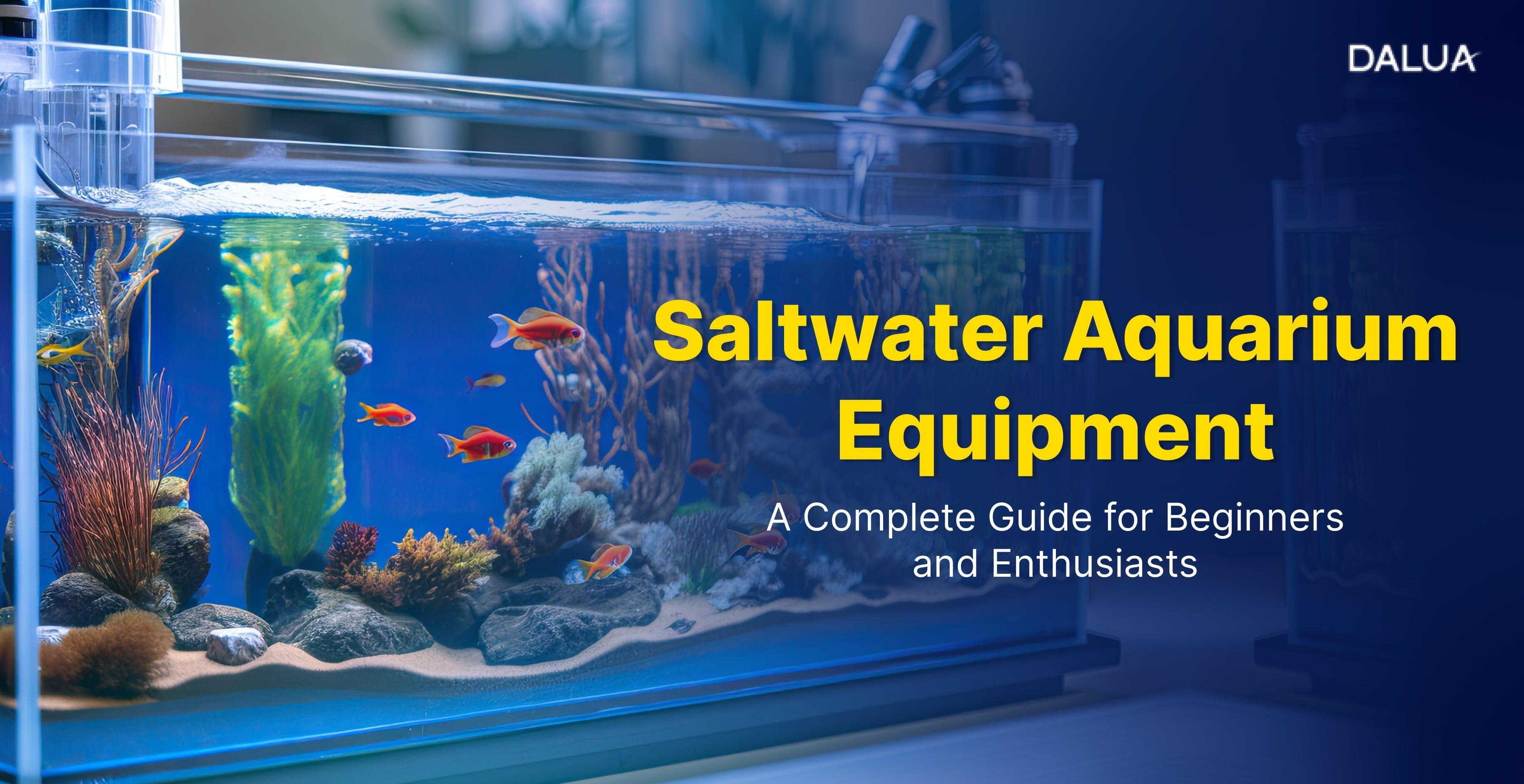 Beautiful view of Saltwater Aquarium Equipment Selection Criteria