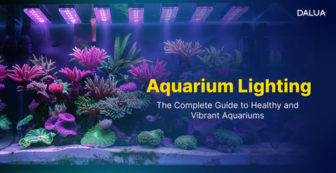 Aquarium Lighting: The Complete Guide to Healthy and Vibrant Aquariums