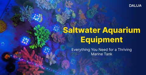 Saltwater Aquarium Equipment: Everything You Need for a Thriving Marine Tank