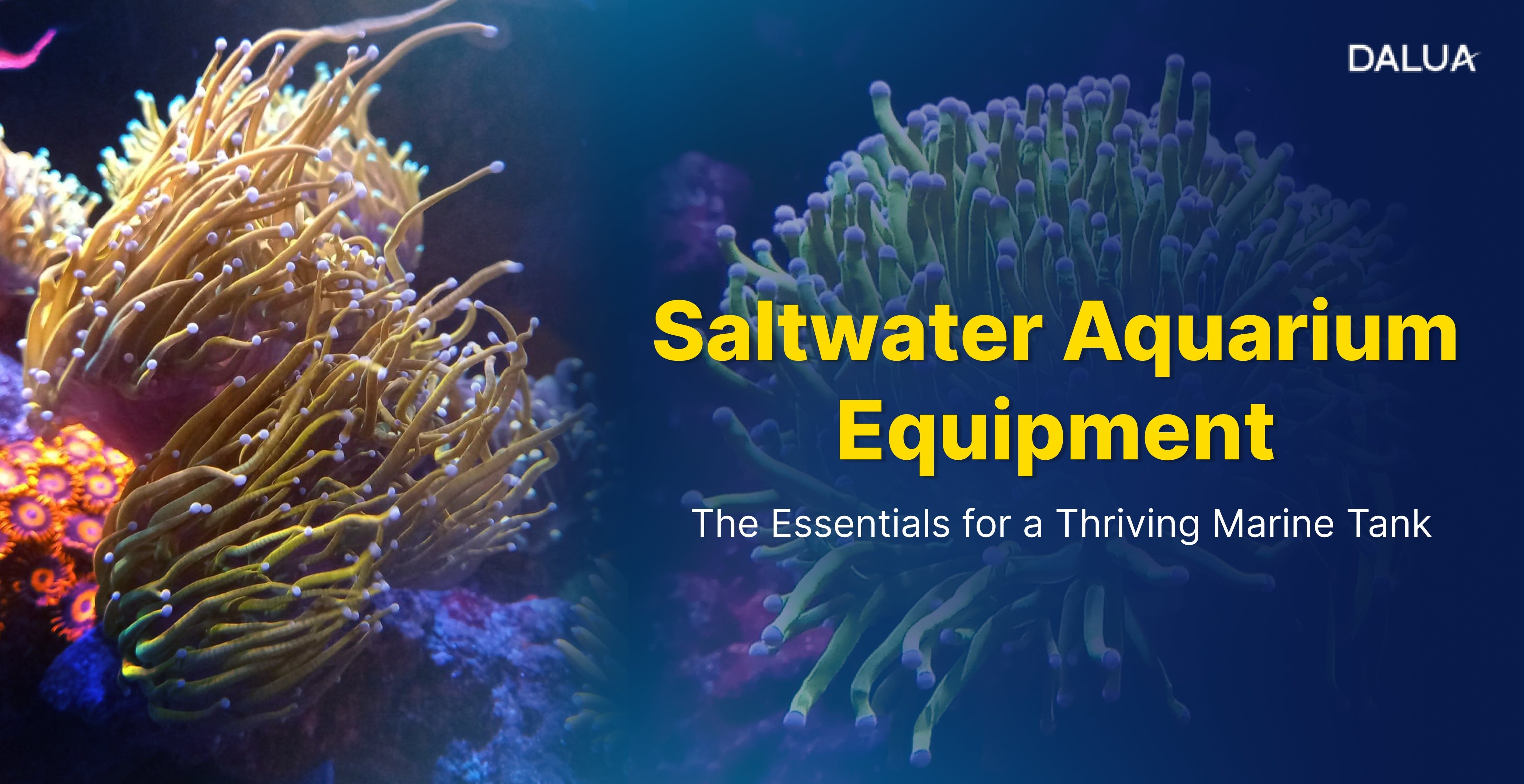 Stunning Saltwater Aquarium Mesocosm Maintenance Equipment image