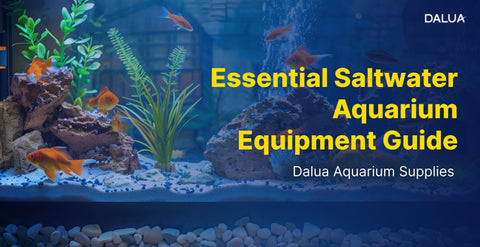 Saltwater Aquarium Equipment: Your Complete Setup Guide