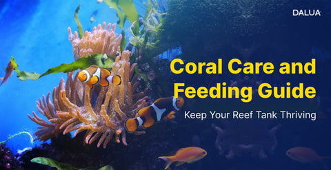 Coral Care and Feeding: How to Keep Your Reef Tank Thriving