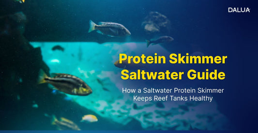 Protein Skimmer Saltwater Guide: How a Saltwater Protein Skimmer Keeps Reef Tanks Healthy
