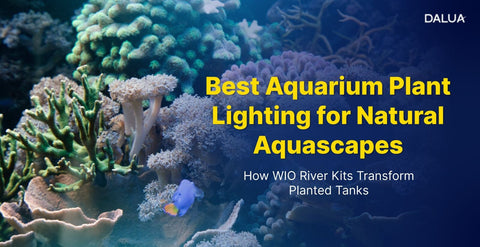 Best Aquarium Plant Lighting for Natural Aquascapes: How WIO River Kits Transform Planted Tanks