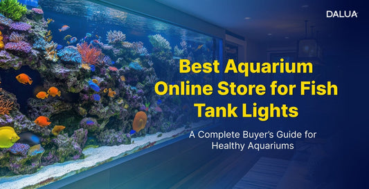 Best Aquarium Online Store for Fish Tank Lights: A Complete Buyer’s Guide for Healthy Aquariums
