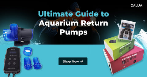 Ultimate Guide to Aquarium Return Pumps