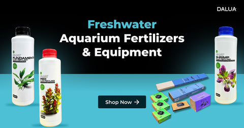 Freshwater Aquarium Fertilizers & Equipment