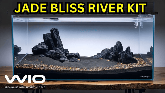 WIO Jade Bliss River Kit Unboxing & Aquascape