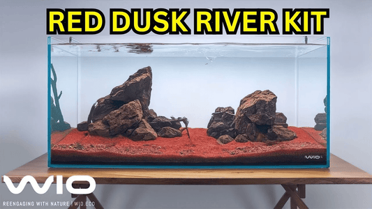 WIO Red Dusk River Kit Unboxing & Aquascape