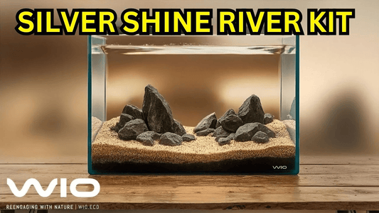 WIO Silver Shine River Kit Unboxing & Aquascape