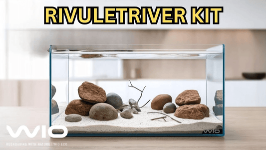 Build a Yakushima-Inspired Aquascape with the Rivulet River Kit