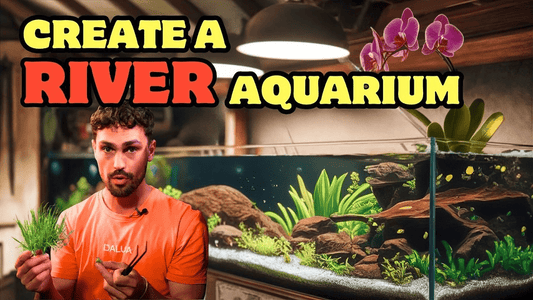 Epic 3-Hour Aquascape Challenge with WIO River Kit
