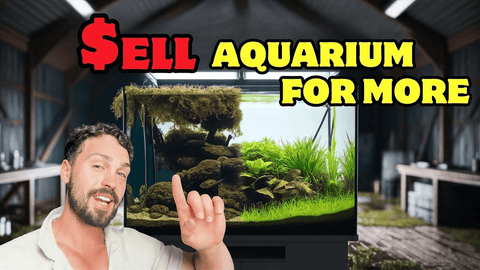 How to Make Money Selling Aquariums: Smart Resale Strategies