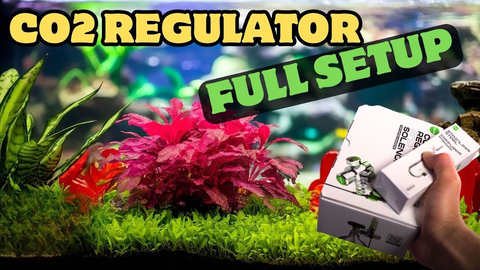 Master Aquarium CO2 Setup Easily