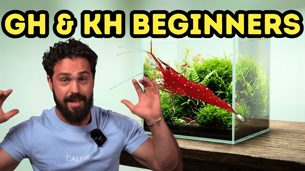 Aquarium GH & KH Explained: The Complete Guide to Water Stability for ...