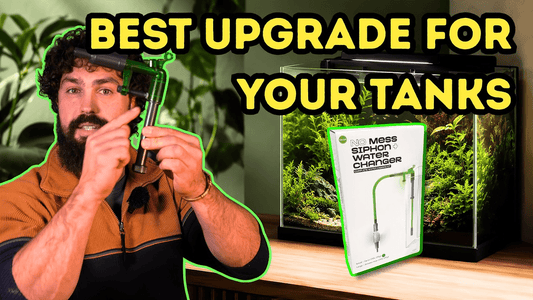 Auto Water Change Without Drilling Tanks — The Easiest Fish Room Upgrade of 2026
