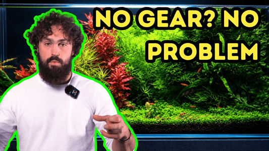 Make Your Aquarium Better Without Buying New Gear – DALUA Fishroom Guide