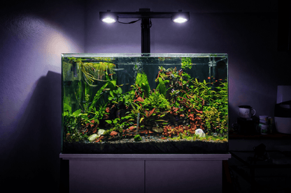 Illumagic Pixel Aquascaper AQUARIUM LIGHTING DALUA 
