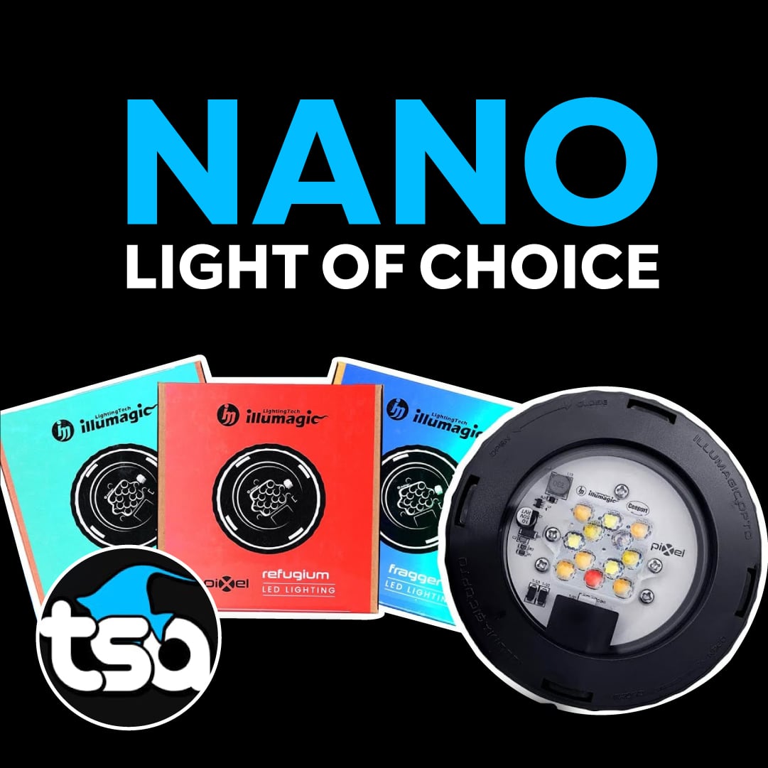 Pixel LED Bundles All Sizes