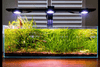 Illumagic Pixel Aquascaper AQUARIUM LIGHTING DALUA 