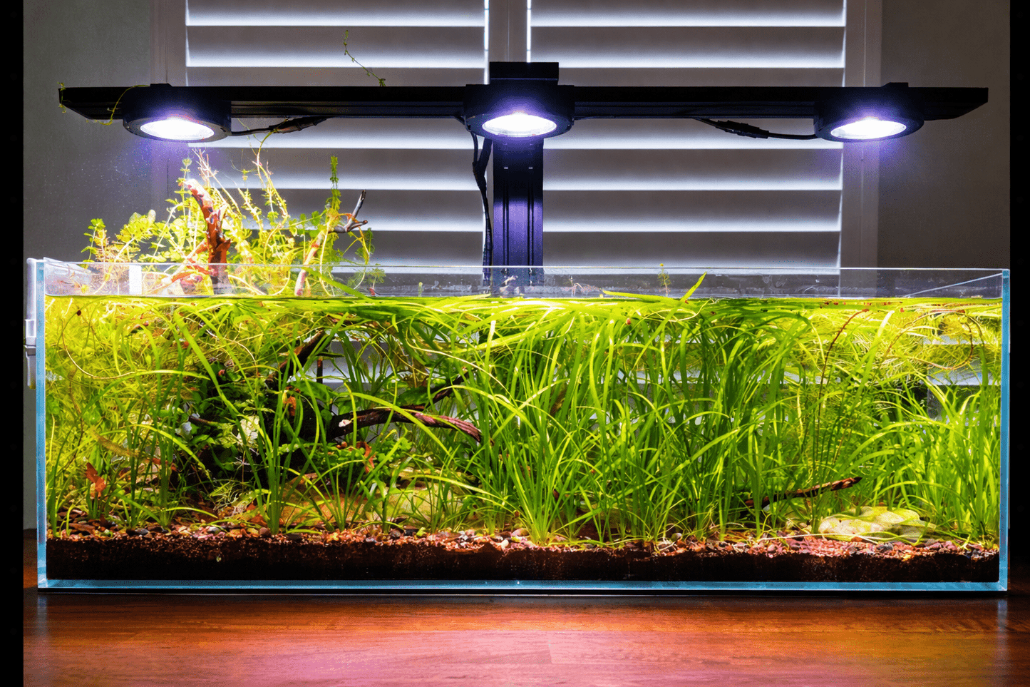 Illumagic Pixel Aquascaper AQUARIUM LIGHTING DALUA 