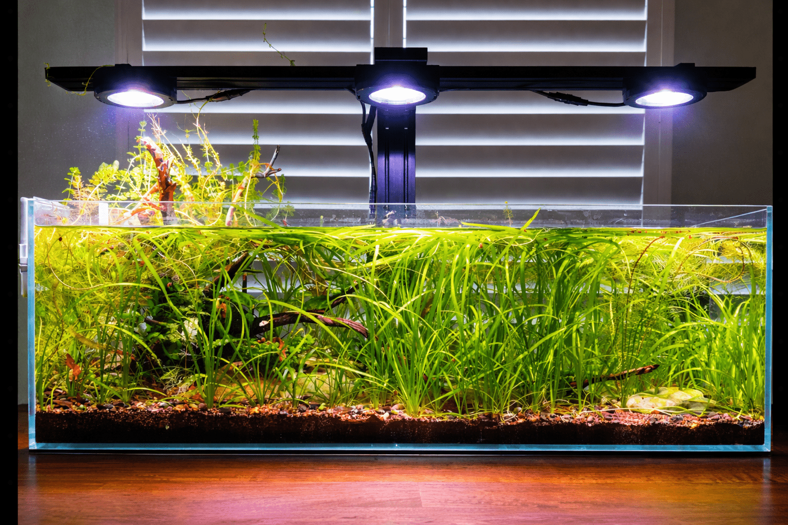 Illumagic Pixel Aquascaper AQUARIUM LIGHTING DALUA 