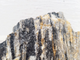 WIO - Grey Fossil Stone Wood and Rock WIO
