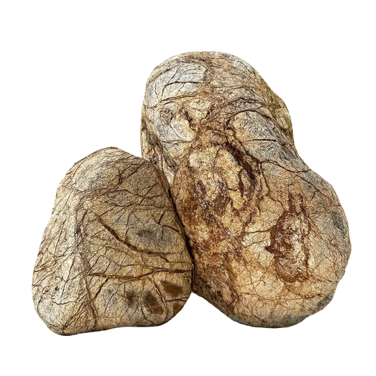 WIO - Zombie Boulder Stone Wood and Rock WIO 