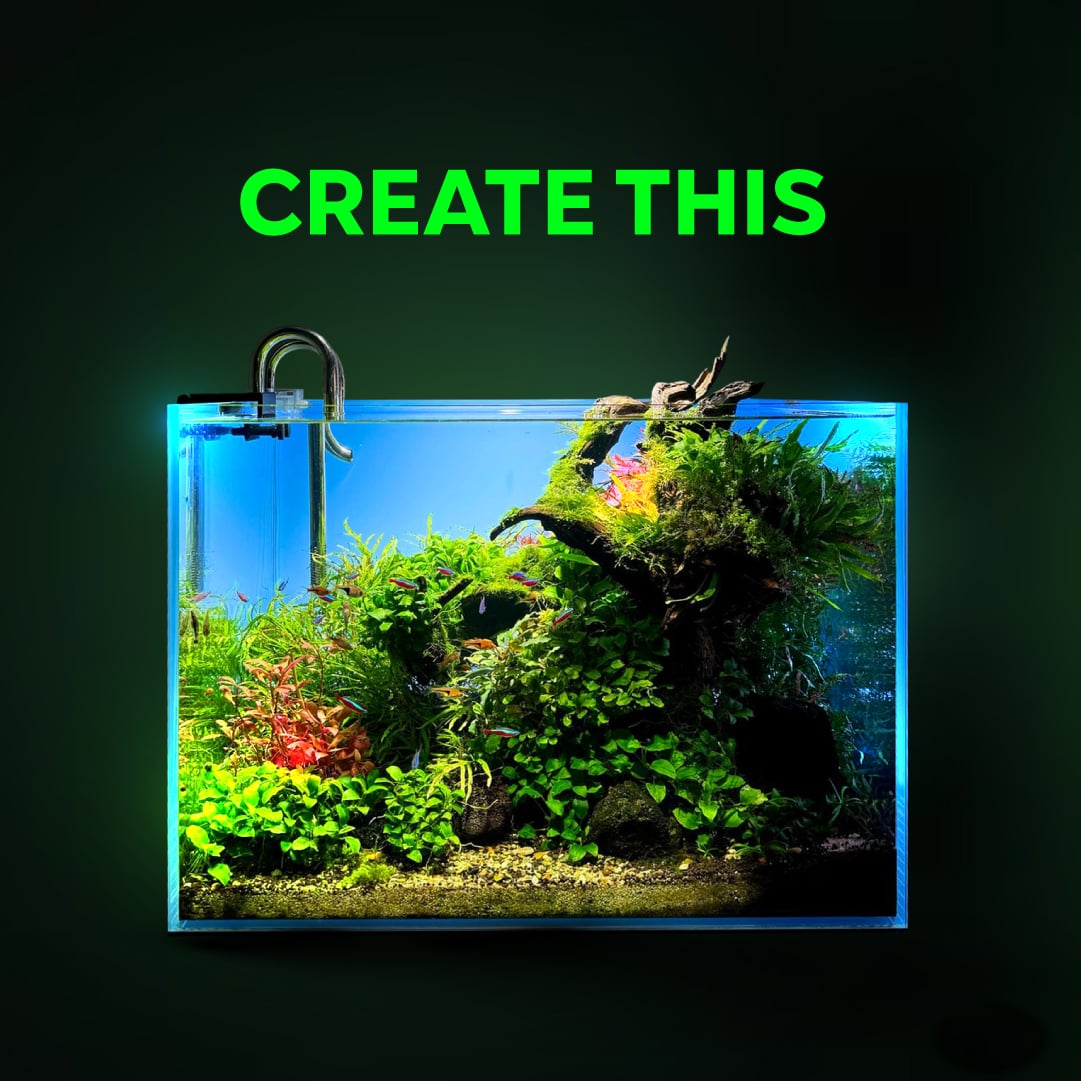 Algae Scraper + Blades