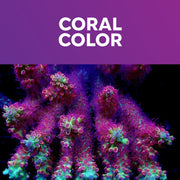 Coral Essentials Trace Elements All In One