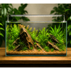 WIO - Amber Dragon Riverbed Soil and Substrate WIO 