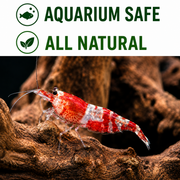 Ultimate Iwagumi Starter Kit – Complete Light, Hardscape & Filtration Bundle